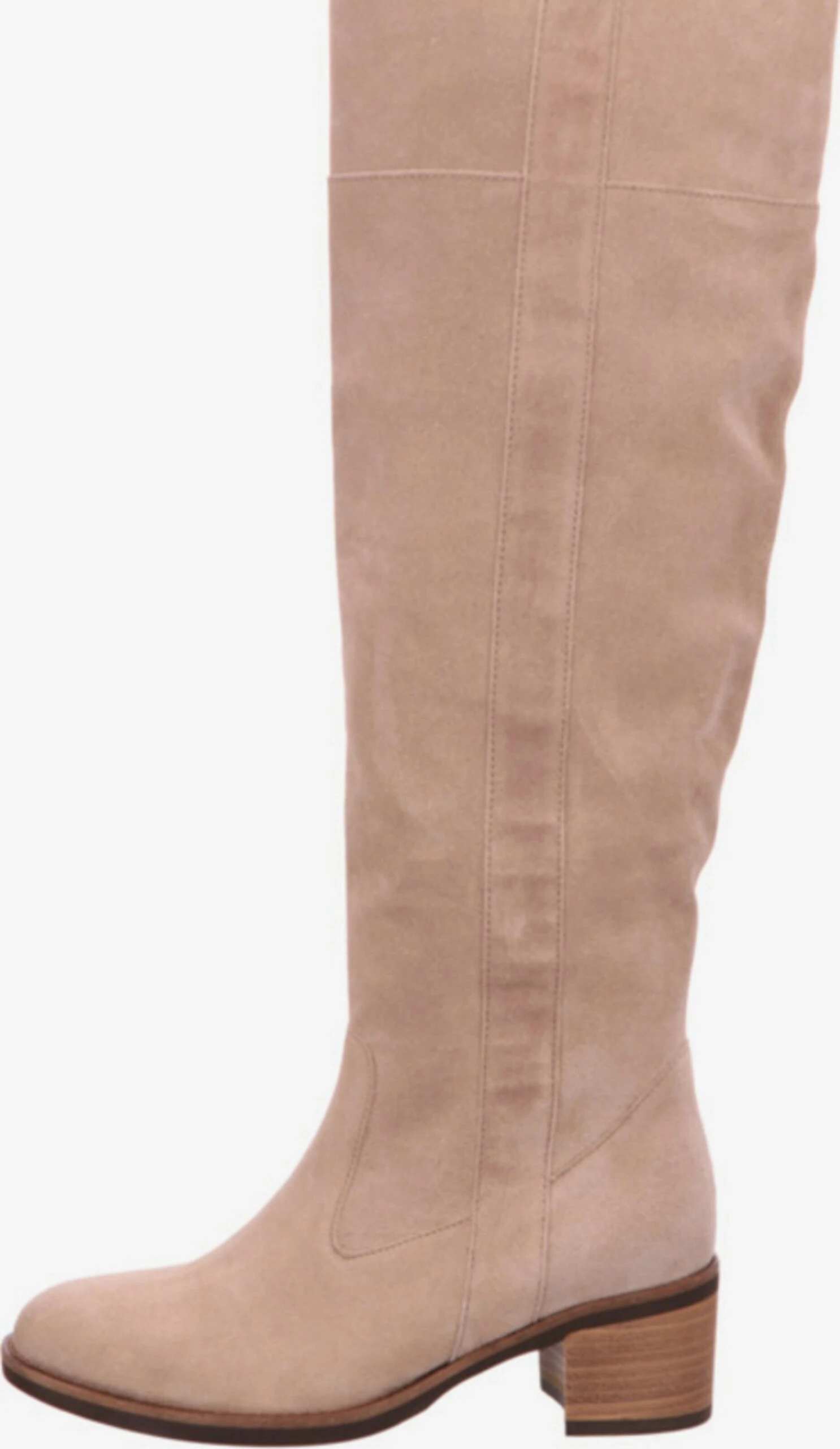 Klassieke laarzen Laarzen Dames Lichtbeige Gabor Klassieke Laarzen Laarzen Dames Lichtbeige -Aanbiedingen Gabor Winkel 2eef1165d50fb47860a18e770d1bc0d5 scaled