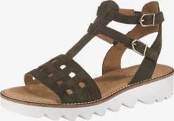 Gabor Sandalen Met Bandjes Sandalen Met Riem Dames Kaki