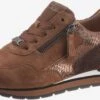 Gabor Fashion Sneakers Sneakers Laag Dames Cognac 1 Gabor Fashion Sneakers Sneakers Laag Dames Cognac -Aanbiedingen Gabor Winkel 3c10a3dcd47b8dd13b6183c1d531435e