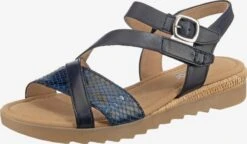 Gabor Sandalen Met Bandjes Sandalen Met Riem Dames Blauw / Nachtblauw