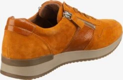Gabor Fashion Sneakers Sneakers Laag Dames Goudgeel 6 Gabor Fashion Sneakers Sneakers Laag Dames Goudgeel -Aanbiedingen Gabor Winkel 752f9eac0991b118cf86afe68a457e33