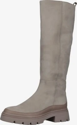 Gabor Laarzen Boots Dames Greige