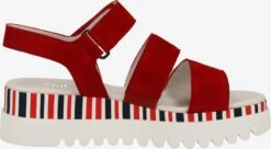 Gabor Sandalen Met Hak Sandalen Met Riem Dames Rood / Karmijnrood -Aanbiedingen Gabor Winkel 7d10084b2a535ea8d2c944a9a7a75df4