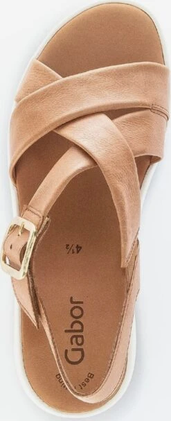 Gabor Sandalen Met Hak Sandalen Met Riem Dames Cognac 7 Gabor Sandalen Met Hak Sandalen Met Riem Dames Cognac -Aanbiedingen Gabor Winkel 7f1f0234d94b15c8491351b4b4c6497e