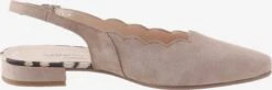 Gabor Pumps & Hakken Slingpumps Dames Lichtbeige -Aanbiedingen Gabor Winkel 8486c614a787b4de07a0c794edbebbef