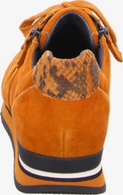 Gabor Fashion Sneakers Sneakers Laag Dames Donkeroranje 4 Gabor Fashion Sneakers Sneakers Laag Dames Donkeroranje -Aanbiedingen Gabor Winkel 935d389ae625093e9c4f732fbb0418c2