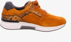 Gabor Fashion Sneakers Sneakers Laag Dames Donkerblauw / Bruin 5 Gabor Fashion Sneakers Sneakers Laag Dames Donkerblauw / Bruin -Aanbiedingen Gabor Winkel 971d6f87d2862b279cc43258f972ec2f