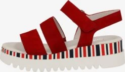 Gabor Sandalen Met Hak Sandalen Met Riem Dames Rood / Karmijnrood -Aanbiedingen Gabor Winkel a3271254db3e1af2fccc9731aa500fdf