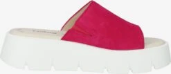 Gabor Plateau Sandalen Muiltjes Dames Fuchsia -Aanbiedingen Gabor Winkel a85e8cb1a539ed81a415d39e293469df