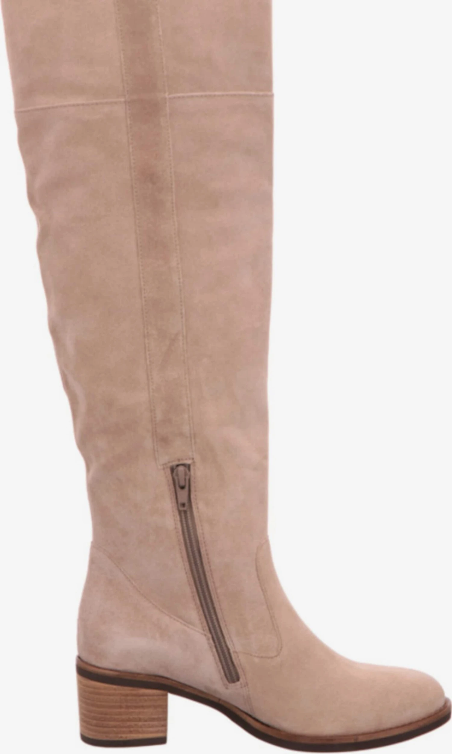 Klassieke laarzen Laarzen Dames Lichtbeige Gabor Klassieke Laarzen Laarzen Dames Lichtbeige -Aanbiedingen Gabor Winkel bc09ab781ba23f5975990d8c11ae8f09 scaled