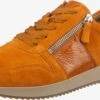 Gabor Fashion Sneakers Sneakers Laag Dames Goudgeel 1 Gabor Fashion Sneakers Sneakers Laag Dames Goudgeel -Aanbiedingen Gabor Winkel d0eec72285455d5f1c15cc14e39f4a9a