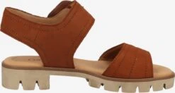 Gabor Sandalen Met Hak Sandaal Dames Bruin -Aanbiedingen Gabor Winkel e3fe76438aa2d85cca9a0a1378d8f27d