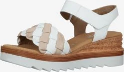 Gabor Sandalen Met Hak Sandaal Dames Rosa / Wit