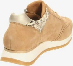 Gabor Veterschoenen Veterschoen Dames Bruin / Lichtbruin -Aanbiedingen Gabor Winkel ff4975544424e6440d09641bd920a943