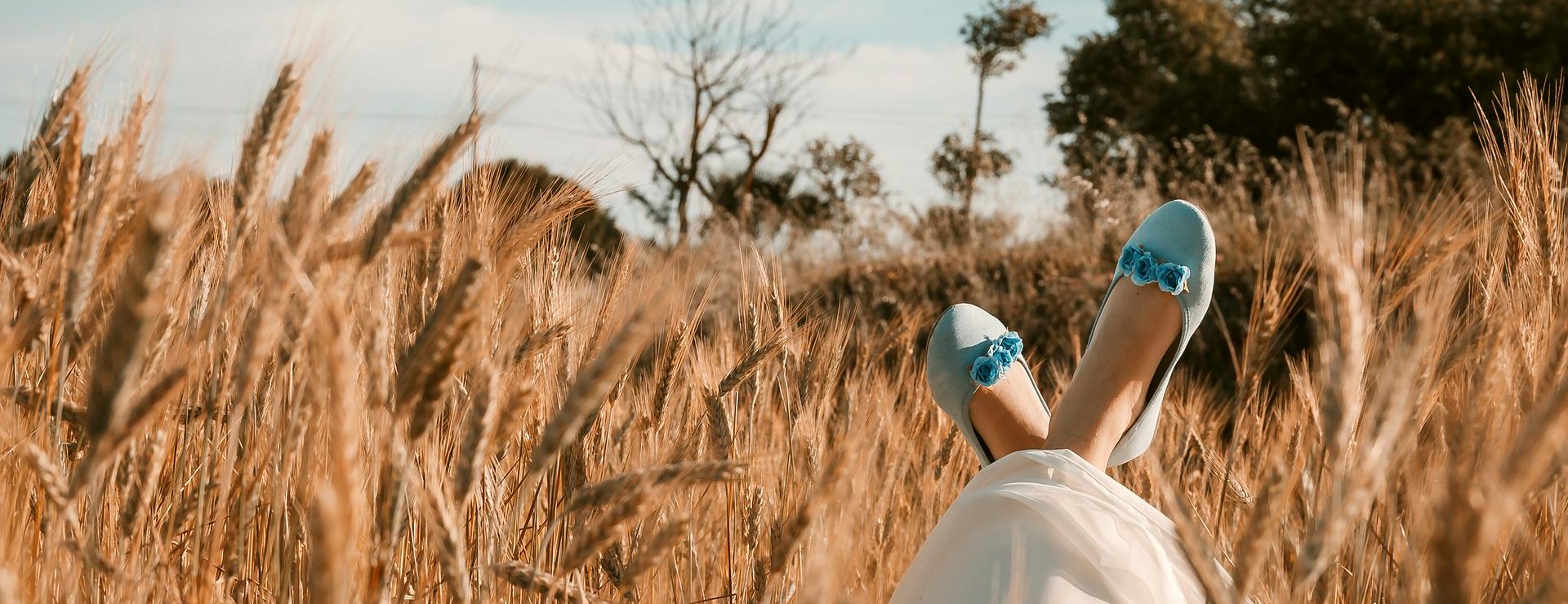 Aanbiedingen Gabor Winkel 1 Aanbiedingen Gabor Winkel -Aanbiedingen Gabor Winkel wheat field 6392428 1920